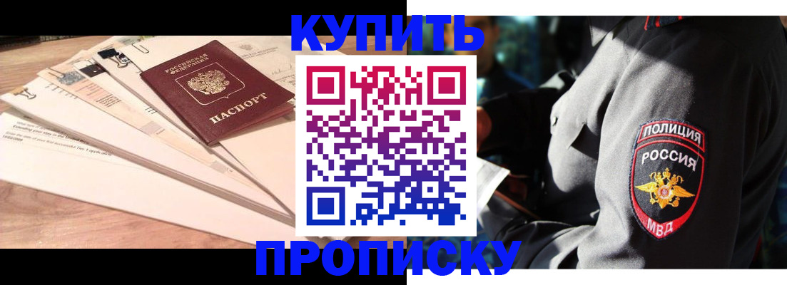 прописка поиск в Коле